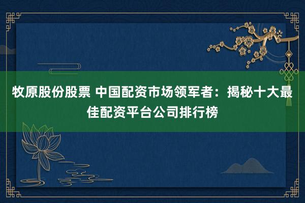 牧原股份股票 中国配资市场领军者：揭秘十大最佳配资平台公司排行榜