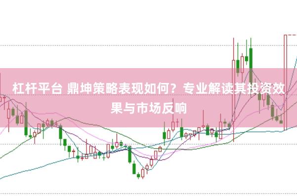 杠杆平台 鼎坤策略表现如何？专业解读其投资效果与市场反响