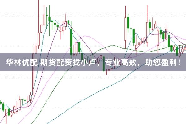 华林优配 期货配资找小卢，专业高效，助您盈利！