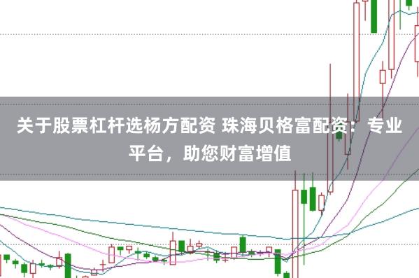 关于股票杠杆选杨方配资 珠海贝格富配资：专业平台，助您财富增值