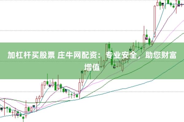 加杠杆买股票 庄牛网配资：专业安全，助您财富增值