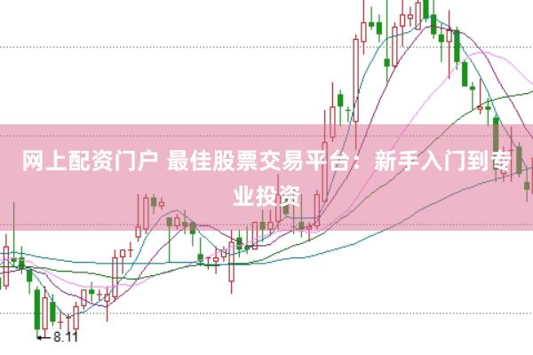 网上配资门户 最佳股票交易平台：新手入门到专业投资
