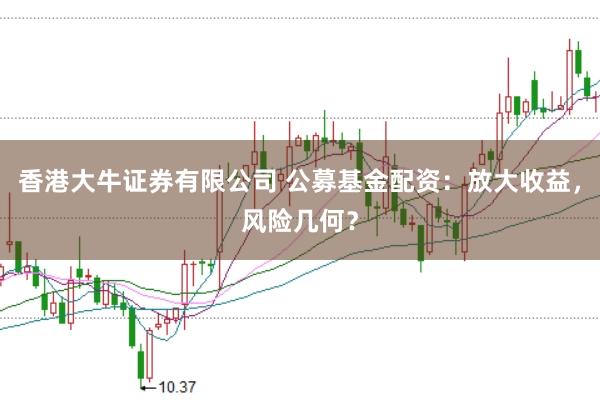 香港大牛证券有限公司 公募基金配资：放大收益，风险几何？