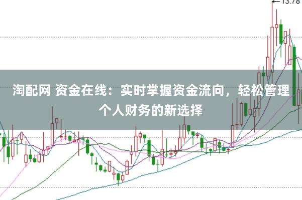 淘配网 资金在线：实时掌握资金流向，轻松管理个人财务的新选择