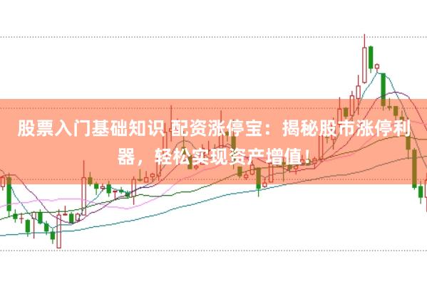 股票入门基础知识 配资涨停宝：揭秘股市涨停利器，轻松实现资产增值！
