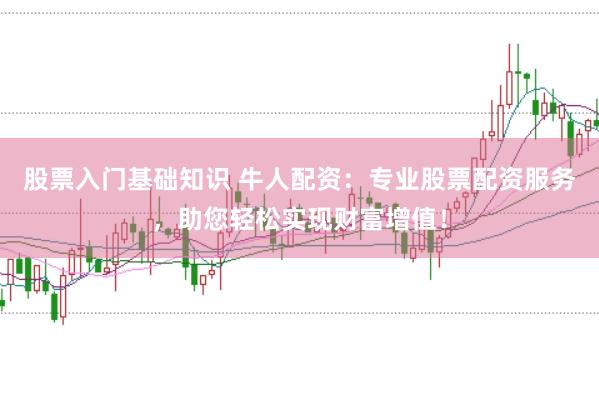 股票入门基础知识 牛人配资：专业股票配资服务，助您轻松实现财富增值！