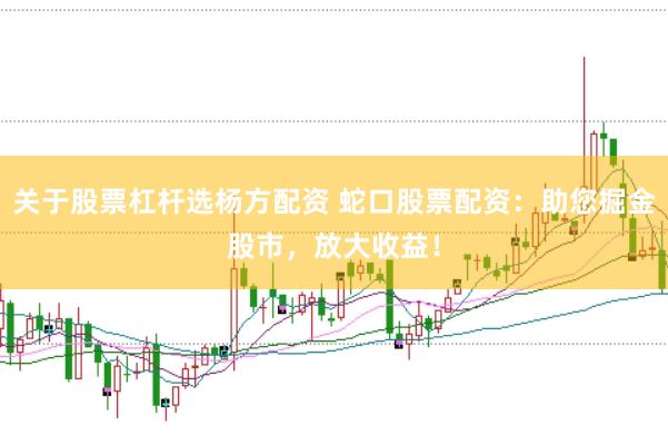 关于股票杠杆选杨方配资 蛇口股票配资：助您掘金股市，放大收益！