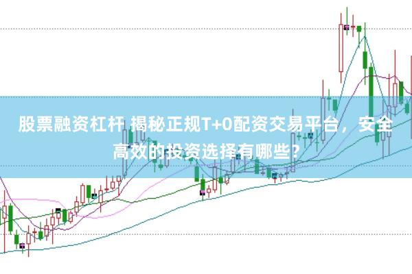 股票融资杠杆 揭秘正规T+0配资交易平台，安全高效的投资选择有哪些？