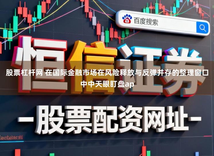 股票杠杆网 在国际金融市场在风险释放与反弹并存的整理窗口中中天眼盯盘ap