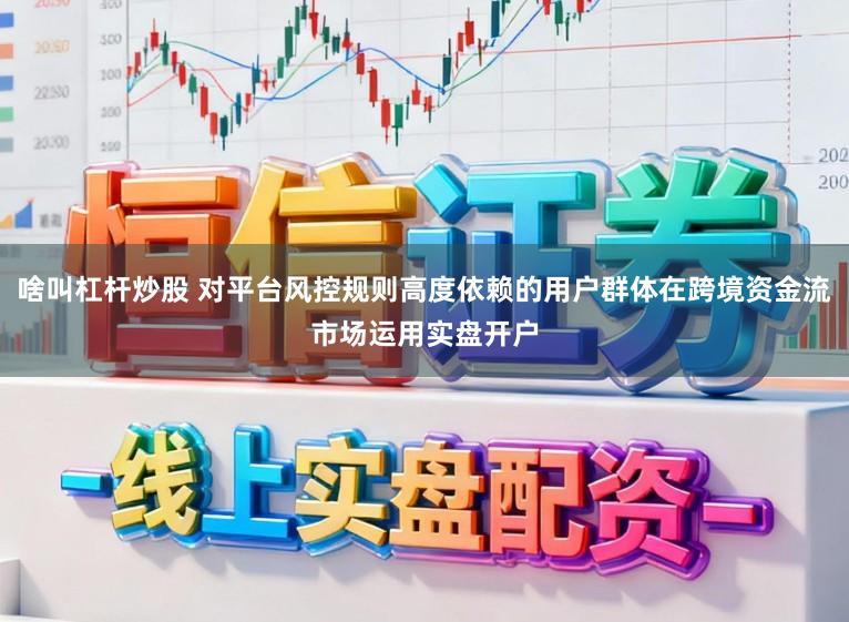 啥叫杠杆炒股 对平台风控规则高度依赖的用户群体在跨境资金流市场运用实盘开户