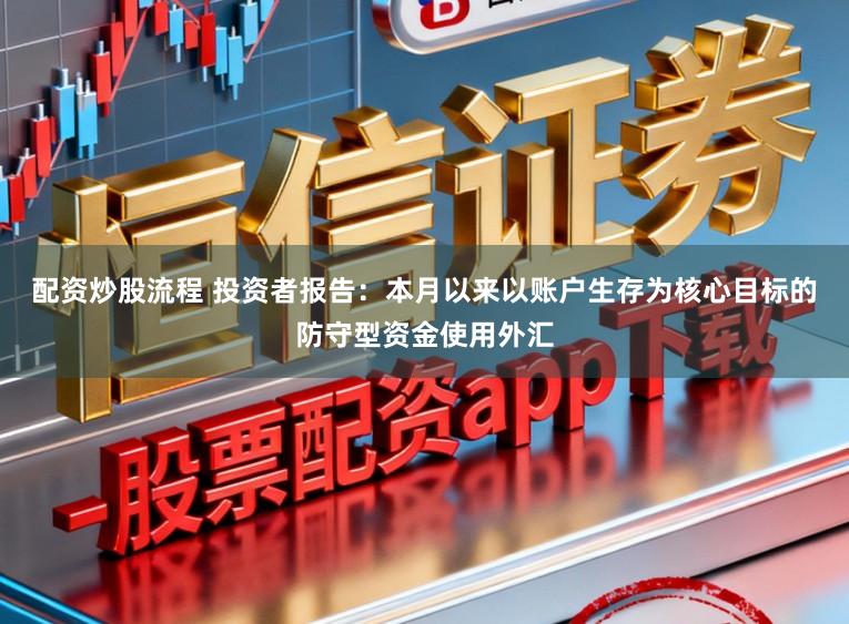 配资炒股流程 投资者报告：本月以来以账户生存为核心目标的防守型资金使用外汇